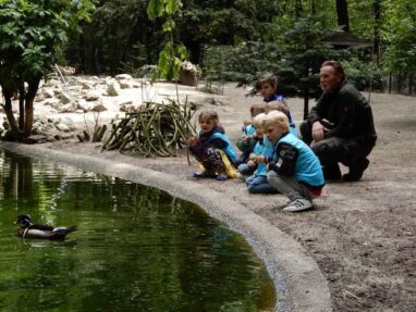 Wie helpt ons de eendjes vijver klaar te maken voor de toekomst?