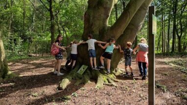 Op avontuur in het Lunterse Buurtbos