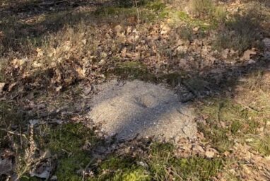 Schelpengruis helpt vogels op de Veluwe