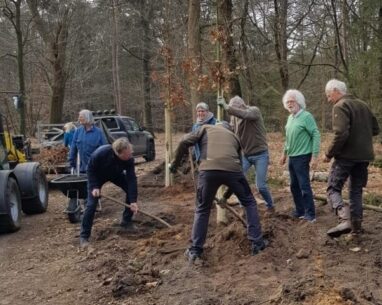 Het plaatsen van 6 Moseiken langs het zgn. Hongerlaantje