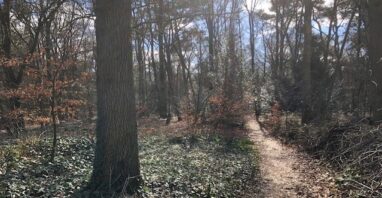 Het Spaanse Kerkhof blijft een mysterie!