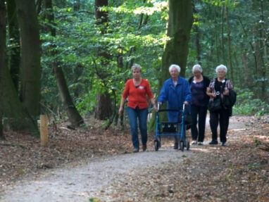 Wandelen