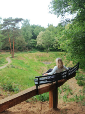 Unieke ‘Durfbank’ geplaatst bij het Witte Wievengat in het Luntersche Buurtbosch