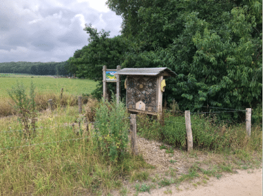 Bloeiende akkerranden